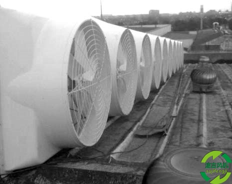 新沂新款屋顶风机,换气设备,负压风机新闻发布